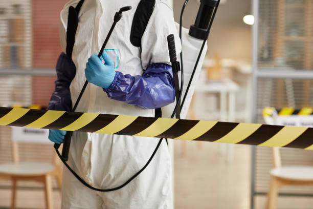 Professional Sewage Cleanup technician working in Medina, OH
